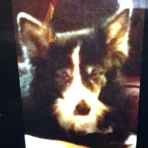 Meet your Posher, Sandi